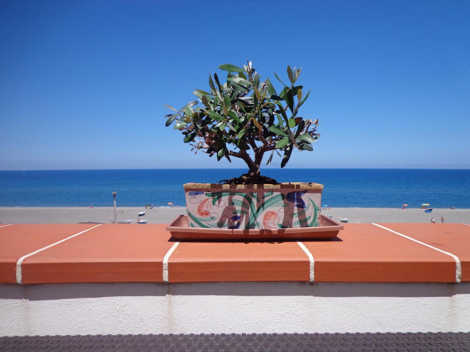 Vacanze Al Mare Patrizia'S Sweet Home تيرمي فيلياتوري المظهر الخارجي الصورة